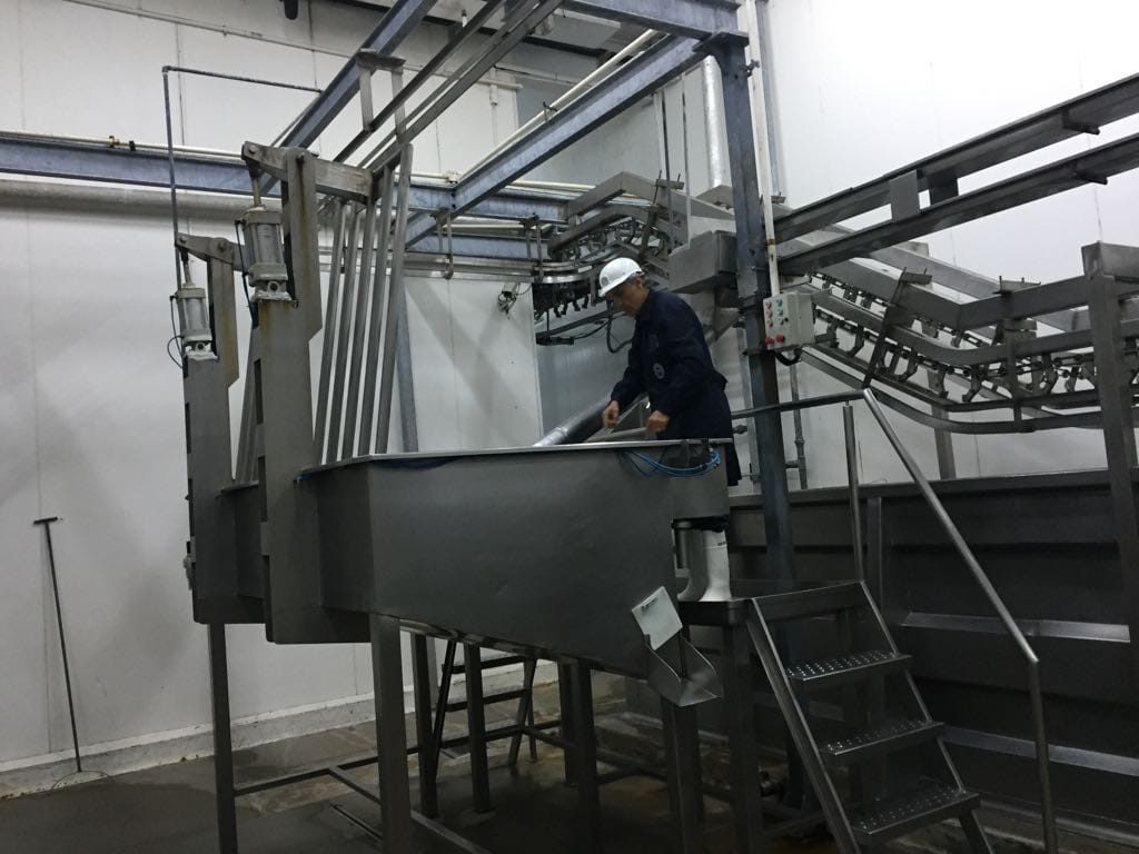 Salting System – Israel Kosher Machinery